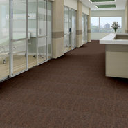 CAPITAL-III-TILE-54480-LAND-SLIDE-80600-room-image