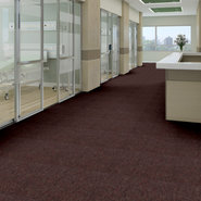 CAPITAL-III-TILE-54480-COURT-HOUSE-80700-room-image