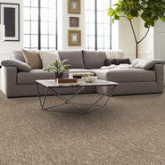 SOUND-ADVICE-TILE-54488-ENCOURAGE-88702-room-image