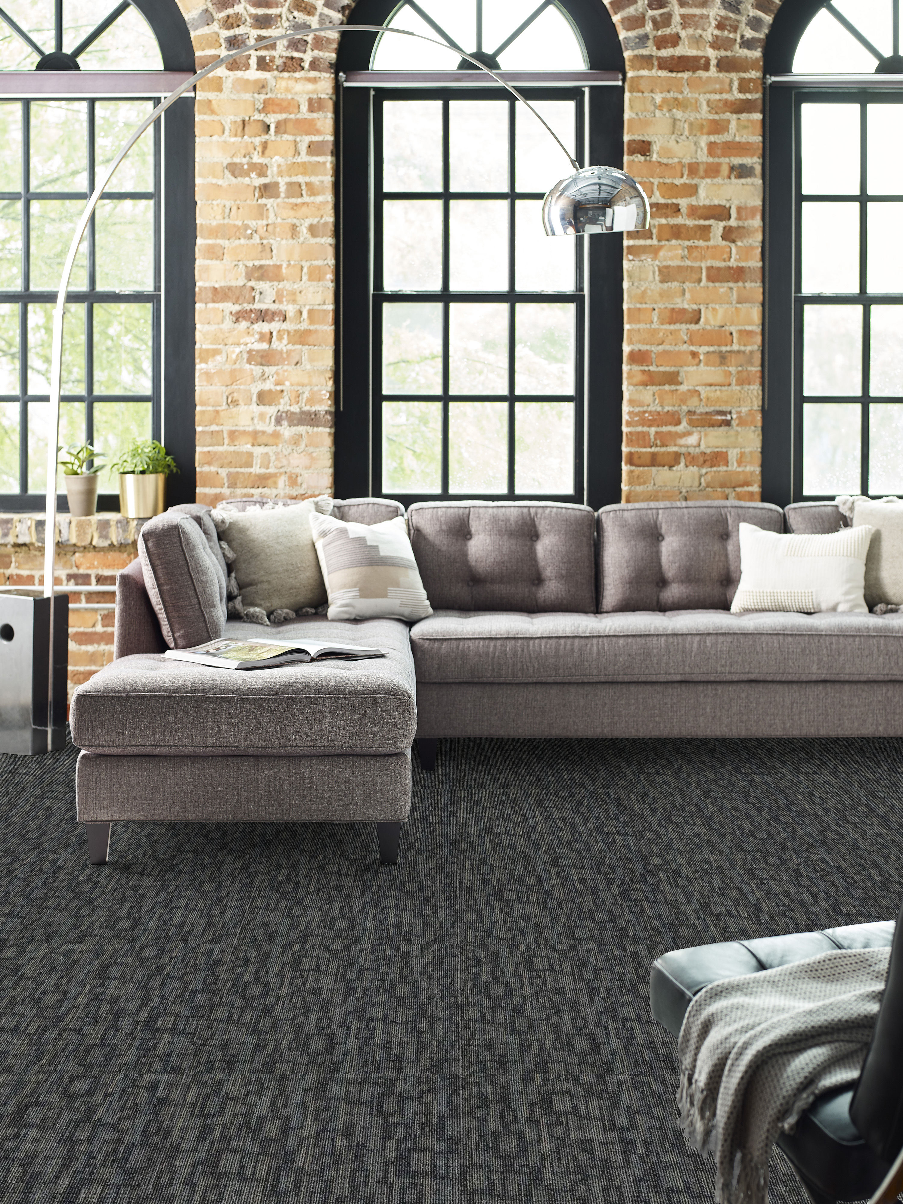 Hook Up - Startled - 54491_91598