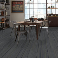 WIRED-54492-JOLTED-92495-room-image
