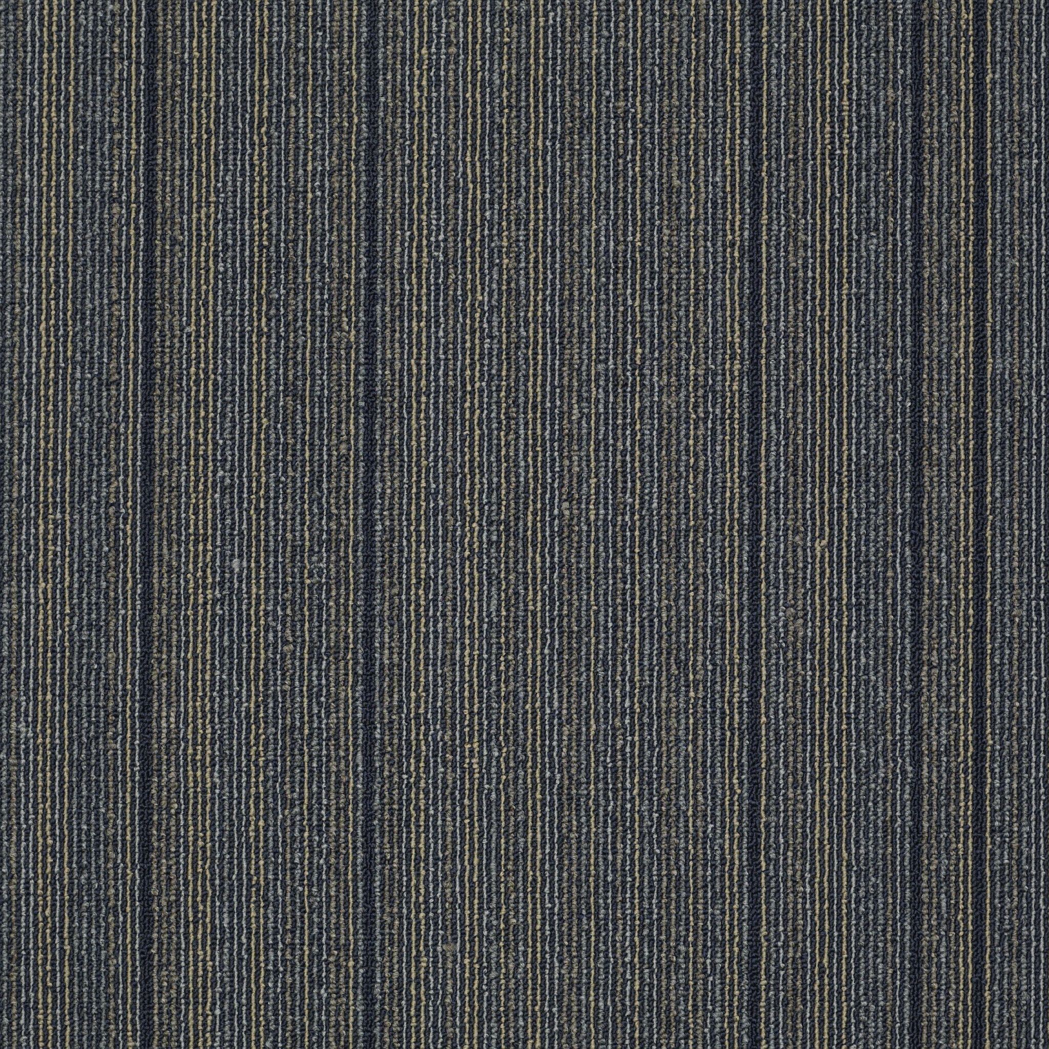 Wired-Jolted-54492_92495