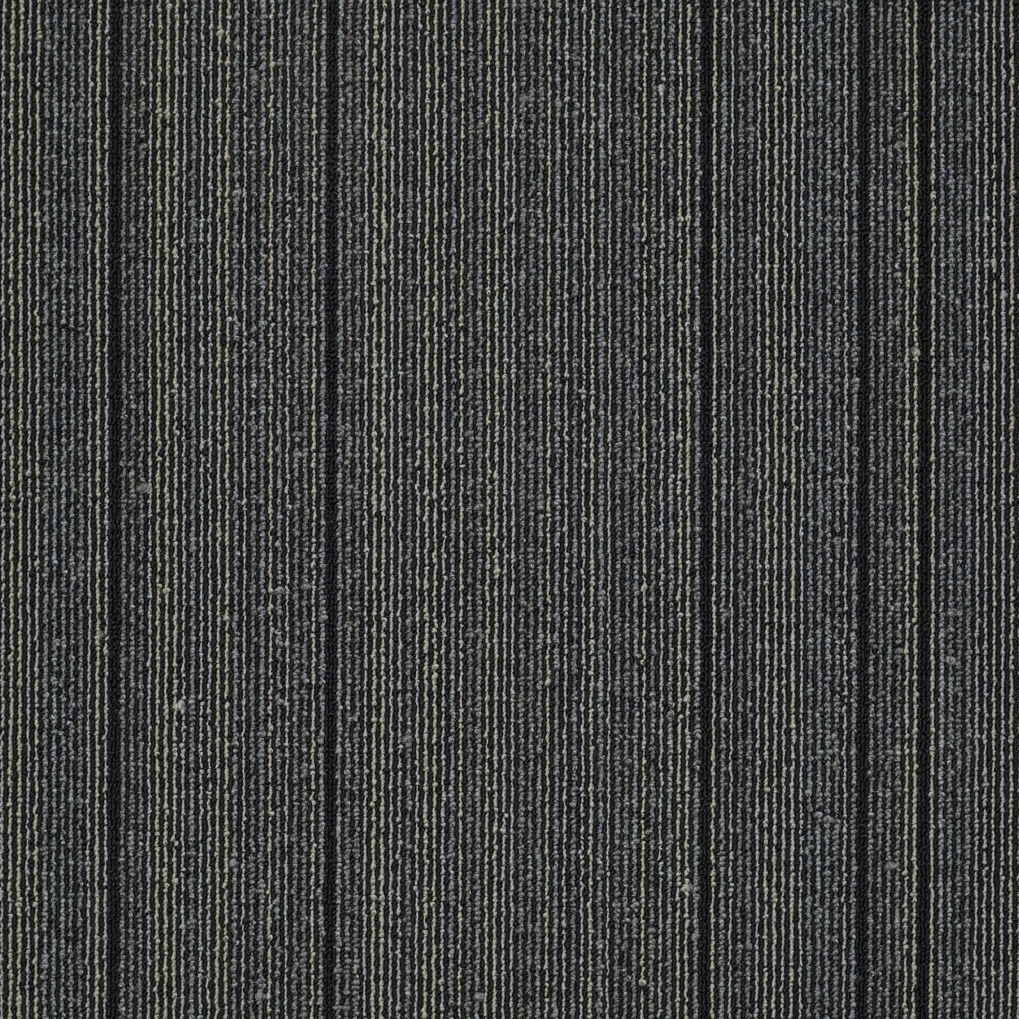 Wired-Startled-54492_92598