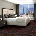 JOKERS-WILD-54495-WILD-CARD-95500-room-image