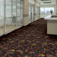 WONDERMENT-54496-IN-AWE-96500-room-image