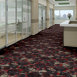WONDERMENT-54496-CURIOSITY-96510-room-image