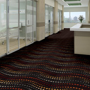 HOT-SPOT-54502-AFTER-HOURS-02510-room-image