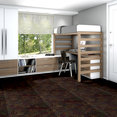 GOOD-TIMES-54503-WHAT-A-BLAST-03500-room-image