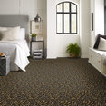 ZEBRA-54505-GRAZER-05704-room-image