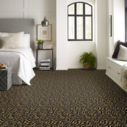 ZEBRA-54505-GRAZER-05704-room-image