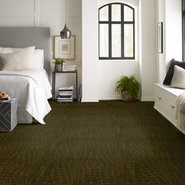 RIVER-CROC-54506-HIDDEN-MOSS-06310-room-image