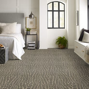 RIVER-CROC-54506-LOUNGE-AROUND-06501-room-image