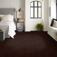 RIVER-CROC-54506-FLOATER-06710-room-image