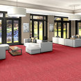 RIVER-CROC-54506-SUNBATHE-06802-room-image