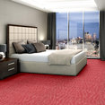 RIVER-CROC-54506-SUNBATHE-06802-room-image