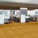 GIRAFFE-54507-TIP-TOP-07100-room-image