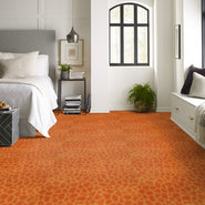 GIRAFFE-54507-ON-STILTS-07600-room-image