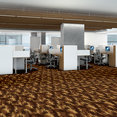 CAMOUFLAGE-54508-TAKE-COVER-08700-room-image
