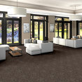 CHEETAH-54509-GO-GETTER-09502-room-image