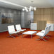 CHEETAH-54509-BIG-CAT-09600-room-image