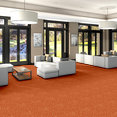 CHEETAH-54509-BIG-CAT-09600-room-image