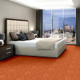 CHEETAH-54509-BIG-CAT-09600-room-image