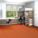 CHEETAH-54509-BIG-CAT-09600-room-image