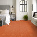 CHEETAH-54509-BIG-CAT-09600-room-image