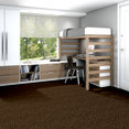 CHEETAH-54509-KEEP-THE-PACE-09700-room-image