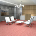 CHEETAH-54509-HANG-LOOSE-09802-room-image