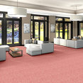 CHEETAH-54509-HANG-LOOSE-09802-room-image