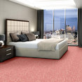 CHEETAH-54509-HANG-LOOSE-09802-room-image