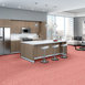 CHEETAH-54509-HANG-LOOSE-09802-room-image