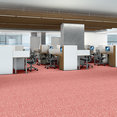 CHEETAH-54509-HANG-LOOSE-09802-room-image