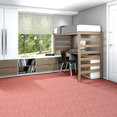 CHEETAH-54509-HANG-LOOSE-09802-room-image