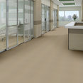 PRIMUS-54510-EMINENT-10115-room-image