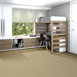 PRIMUS-54510-FIRST-CLASS-10210-room-image
