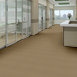 PRIMUS-54510-DOMINANT-10215-room-image