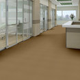 PRIMUS-54510-A-LIST-10220-room-image