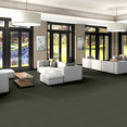 PRIMUS-54510-GEM-10310-room-image