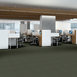 PRIMUS-54510-GEM-10310-room-image