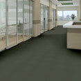 PRIMUS-54510-GEM-10310-room-image