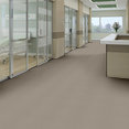 PRIMUS-54510-AT-THE-BEGINNIN-10500-room-image