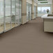 PRIMUS-54510-TOP-FLIGHT-10705-room-image