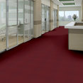 PRIMUS-54510-MOST-PRIZED-10800-room-image