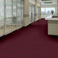 PRIMUS-54510-FOREMOST-10810-room-image