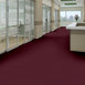 PRIMUS-54510-FOREMOST-10810-room-image