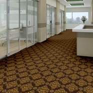 MASTERS-54516-BIRKDALE-16710-room-image