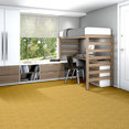 SUITE-RETREAT-54518-LOTHIAN-18200-room-image