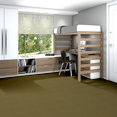 EYES-ON-YOU-54530-JAVA-30310-room-image
